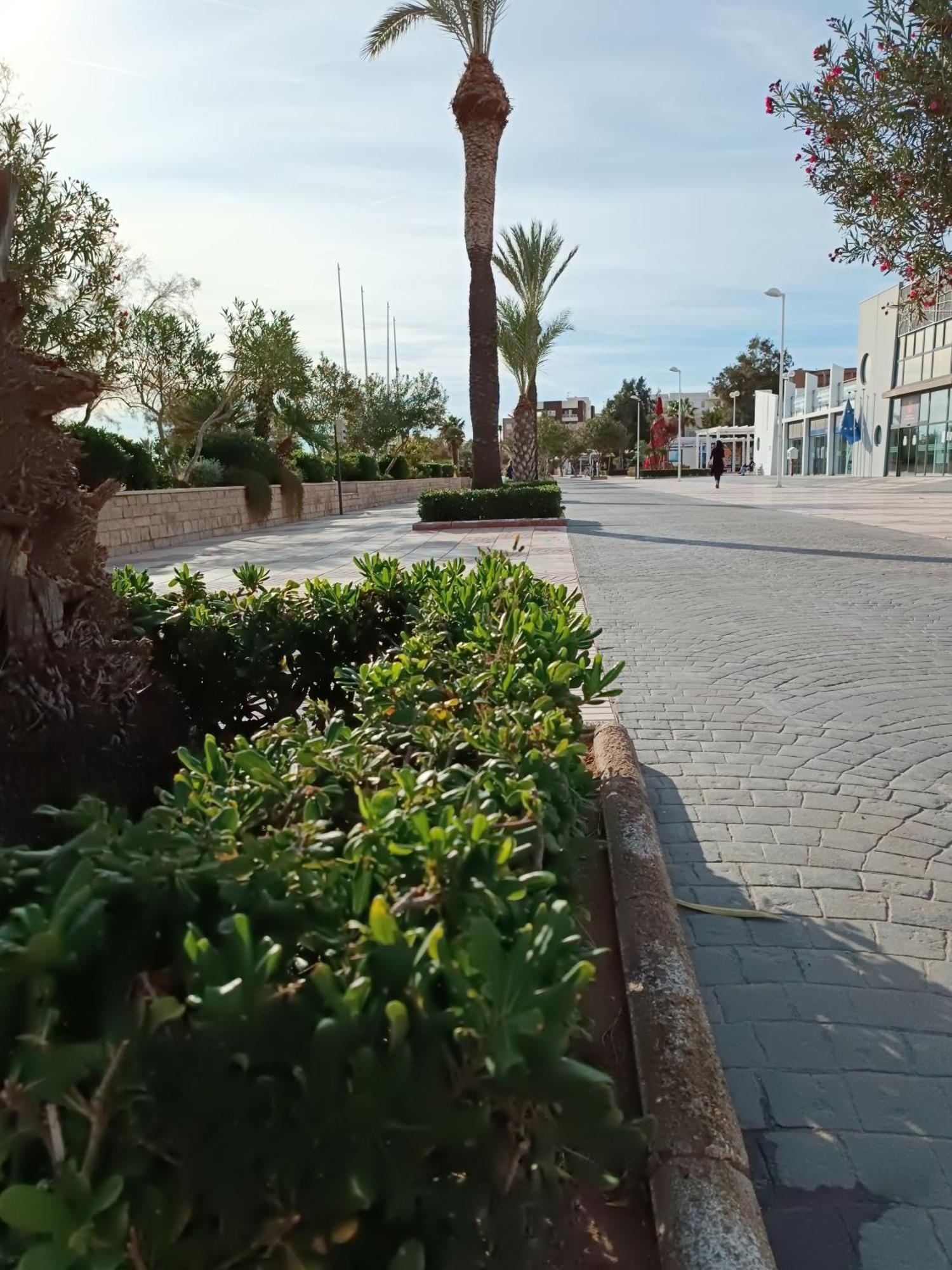 Playa Cannet 20 Km Valencia Piscina Tennis Canet d'En Berenguer Ngoại thất bức ảnh